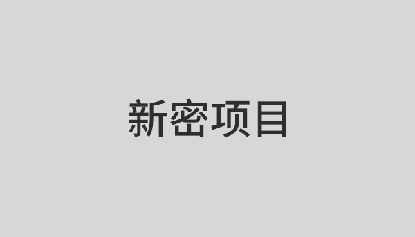 新密项目
